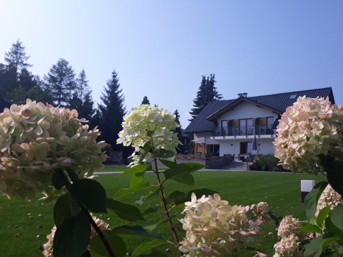 Villa Natura Zator Przeciszow Exterior photo